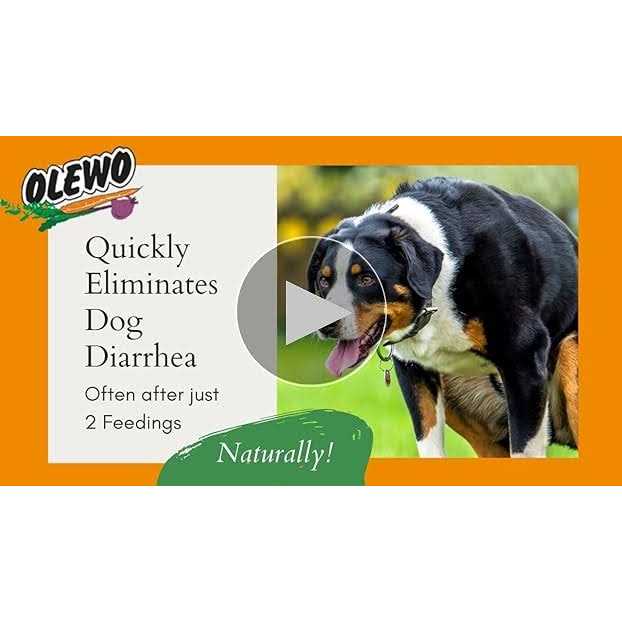 Olewo Original Carrots for Dogs Fiber for Dogs Keep Poop Firm - Nail Gallerys