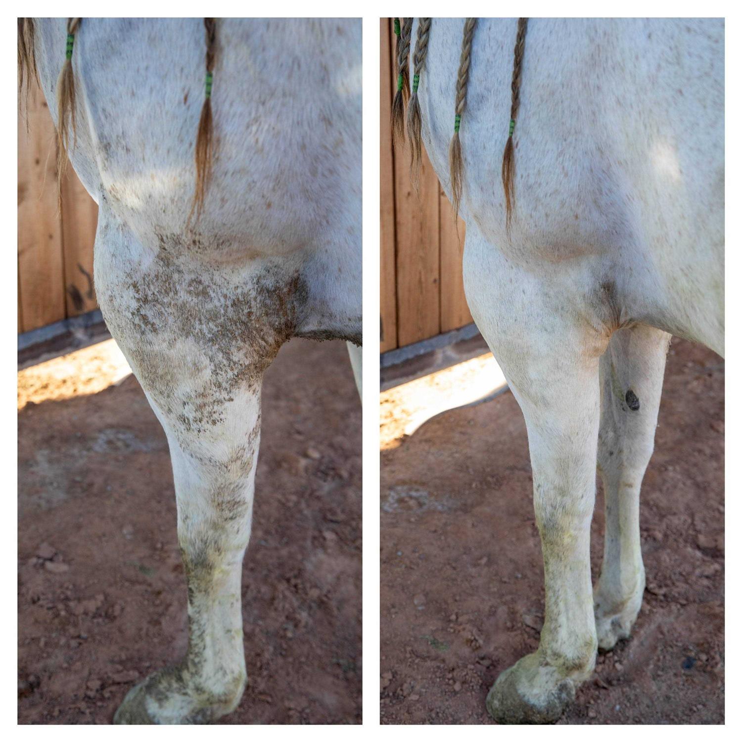 Biomane Grooming Tool - Nail Gallerys