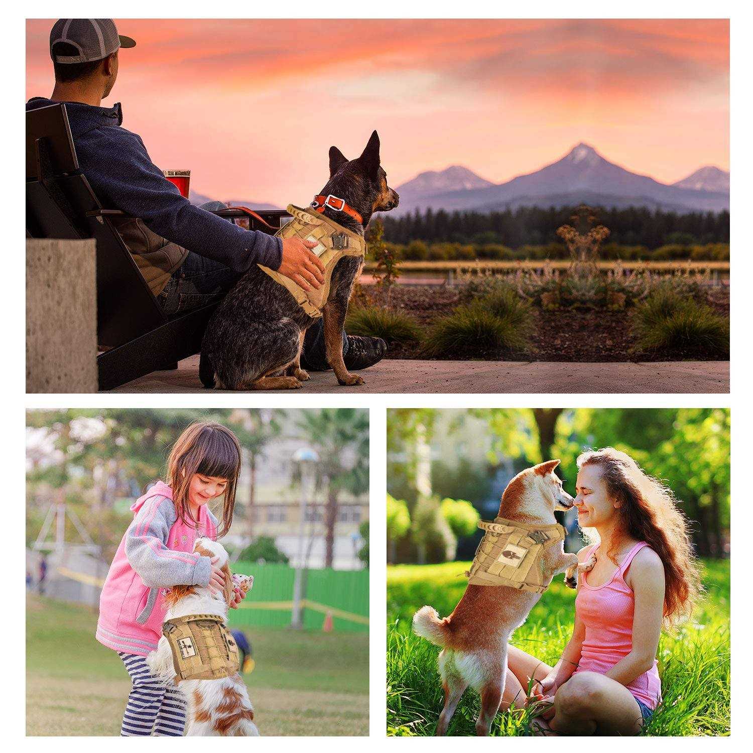 SALFSE Tactical Service Dog Vest Harness K9 Military Molle Dog Vest for Outdoor Training Hunting Pet Harness with Rubber Handle & Metal - Nail Gallerys