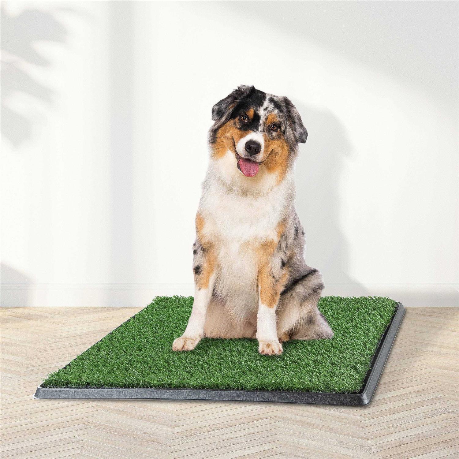 Petmaker Artificial Grass Puppy Dog Potty Pad with Tray - Nail Gallerys