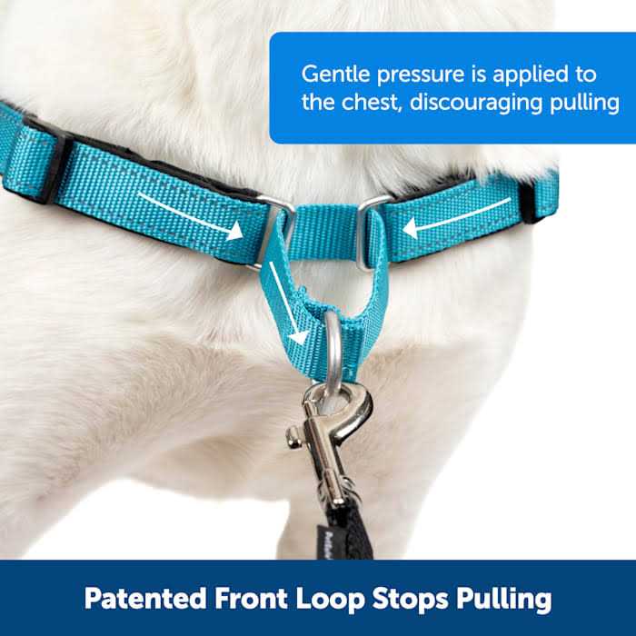PETSAFE Easy Walk Harness - Nail Gallerys