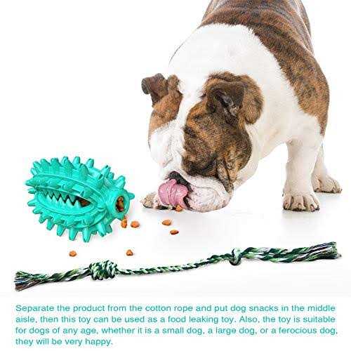 Hanamya Toothbrush Dog Chew Toy - Nail Gallerys