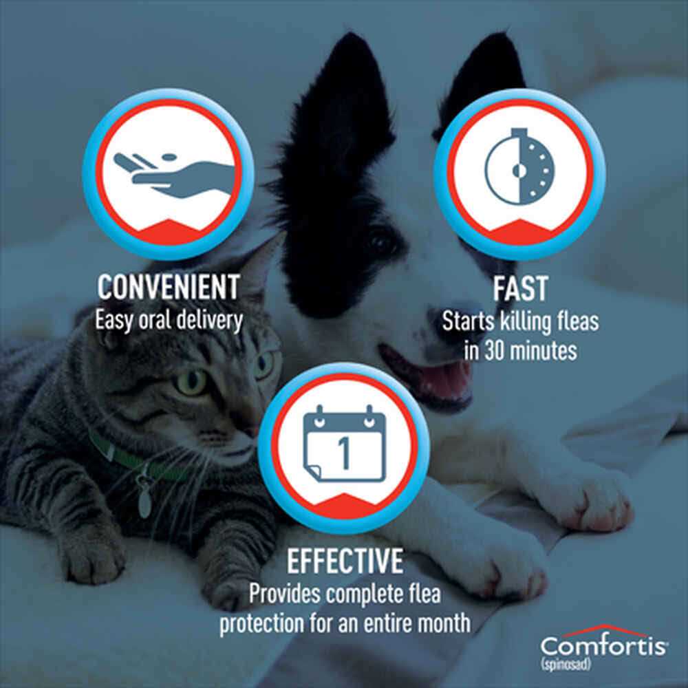 Comfortis Chewable Tablets for Dogs & Cats - Nail Gallerys