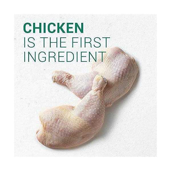 Nutro Wholesome Essentials Healthy Weight Large Breed Adult Farm Raised Chicken - Nail Gallerys