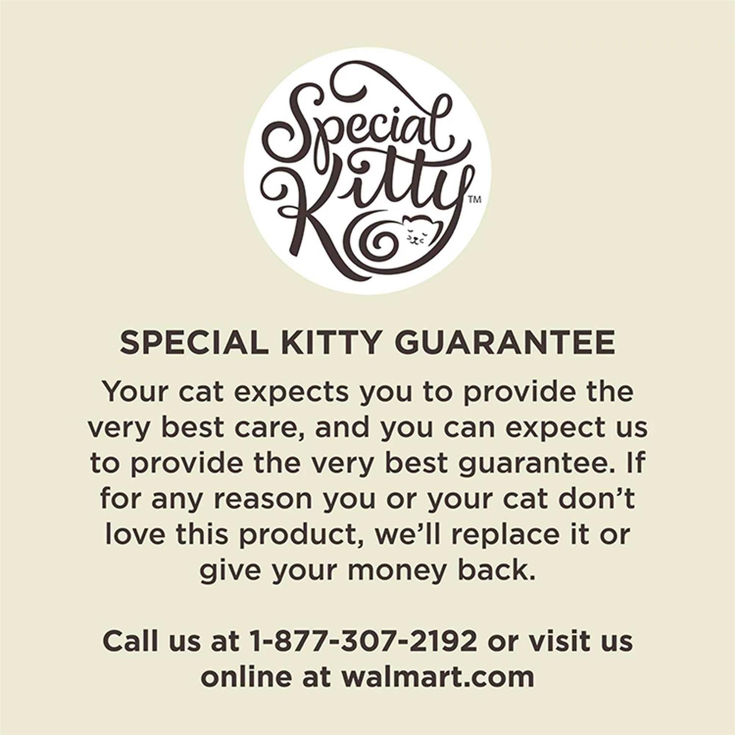 Special Kitty Complete Nutrition Formula Dry Cat Food - Nail Gallerys