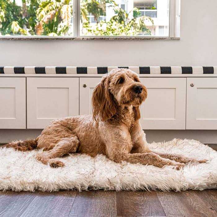 Paw PupRug Portable Orthopedic Dog Bed White - Nail Gallerys