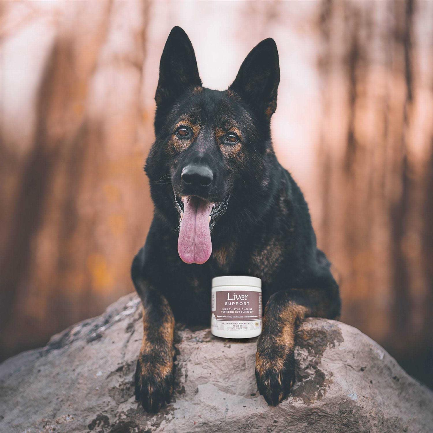 Fera Pet Organics Liver Support for Dogs & Cats - Nail Gallerys