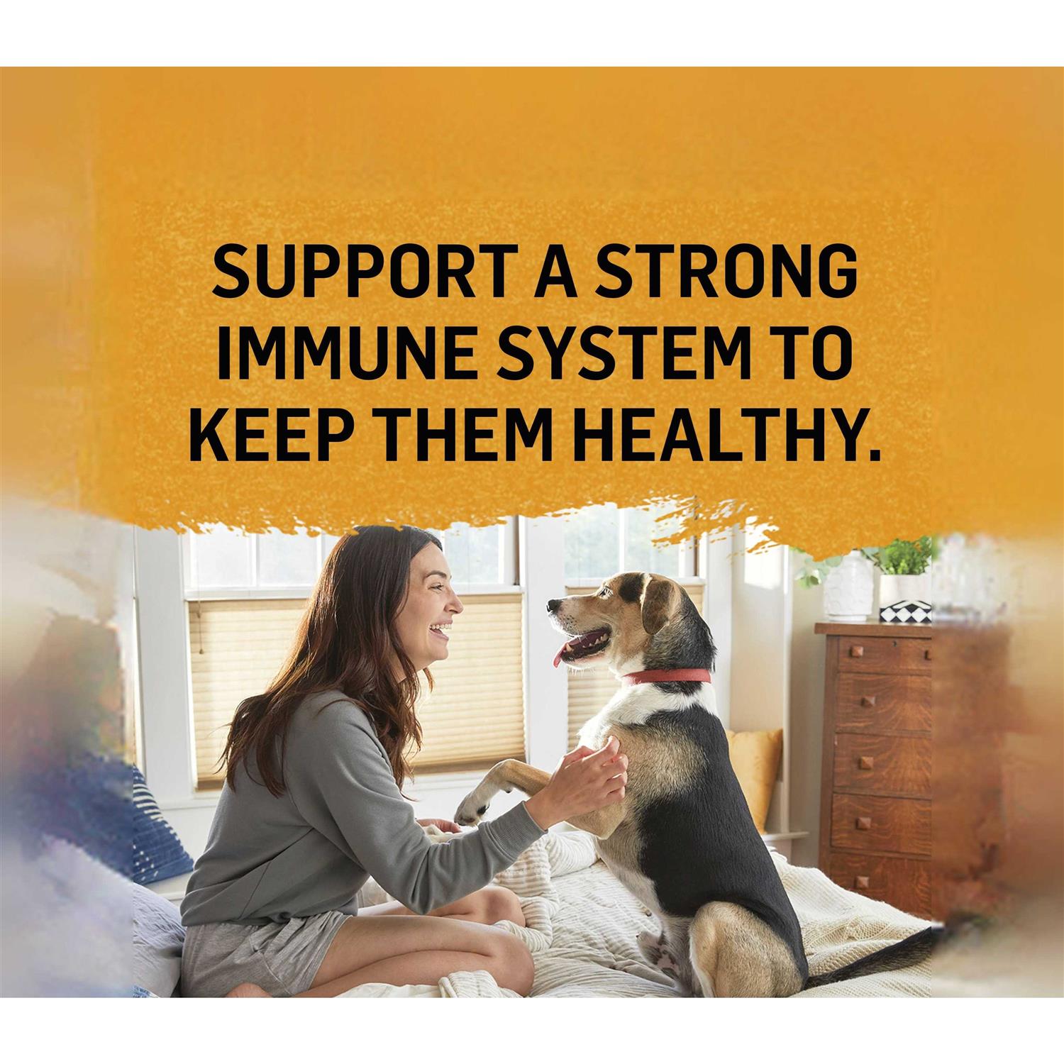 Purina Beyond Wet Cat Food Natural Chicken Bone Broth - Nail Gallerys