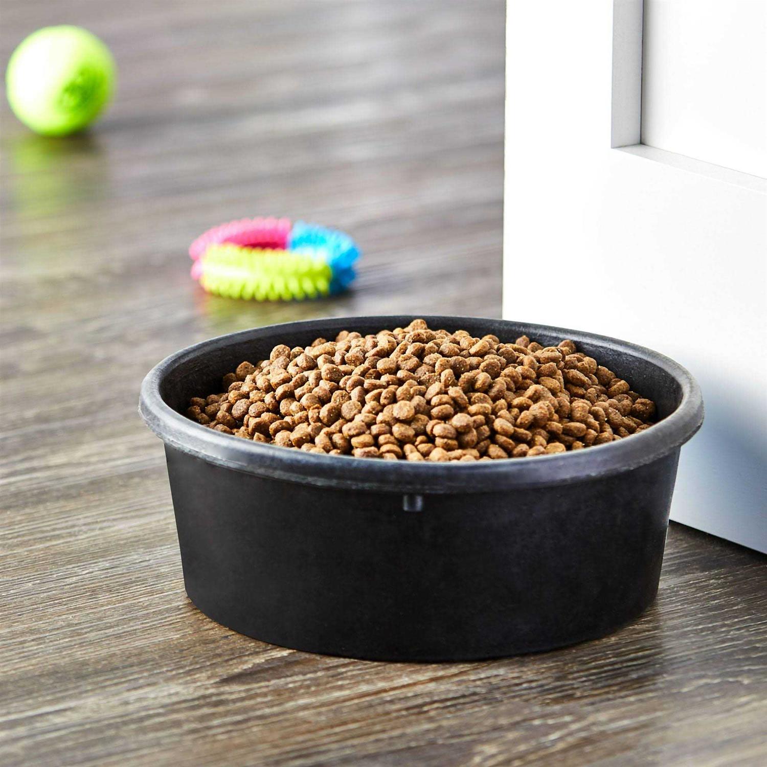 Vibrant Life Large Rubber Dog Bowl - Nail Gallerys