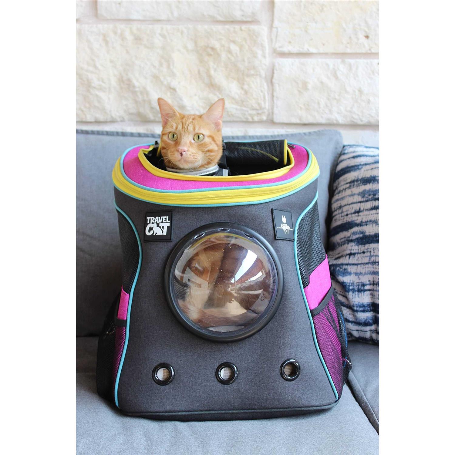 Cat Backpack Stray x Travel - Nail Gallerys