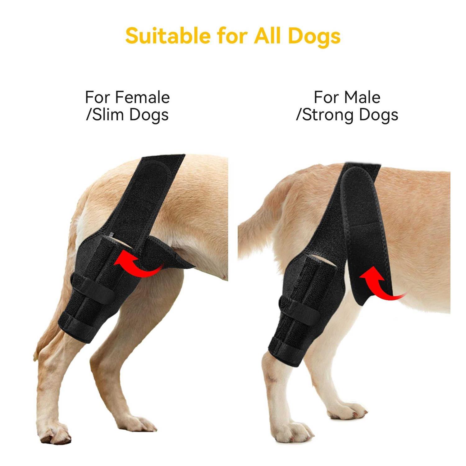 soundfuse Dog Knee Brace, Leg Brace for ACL with Cruciate Ligament Injury, Joint Pain and Muscle Sore - Nail Gallerys