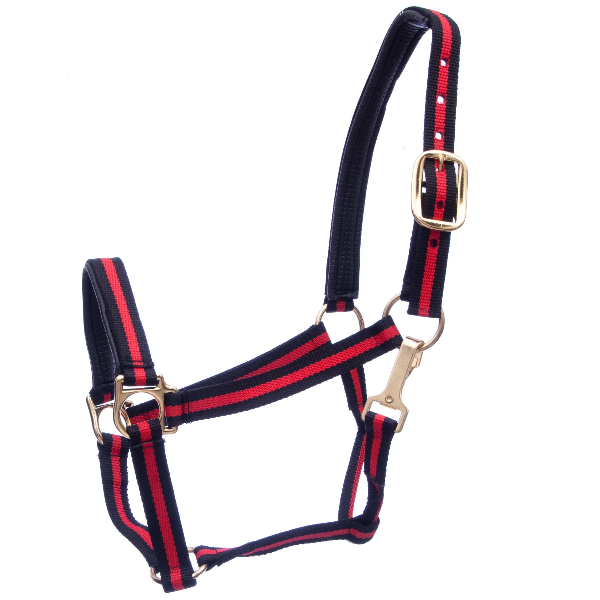 Padded Nylon Horse Halter with Throat Snap - Nail Gallerys