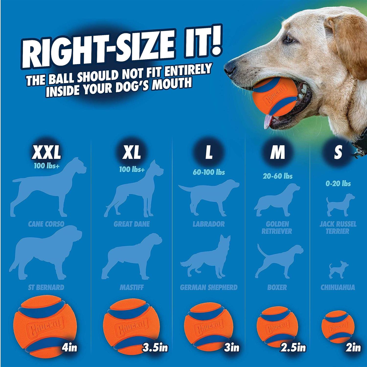 Chuckit! Fetch & Fold Launcher - Nail Gallerys