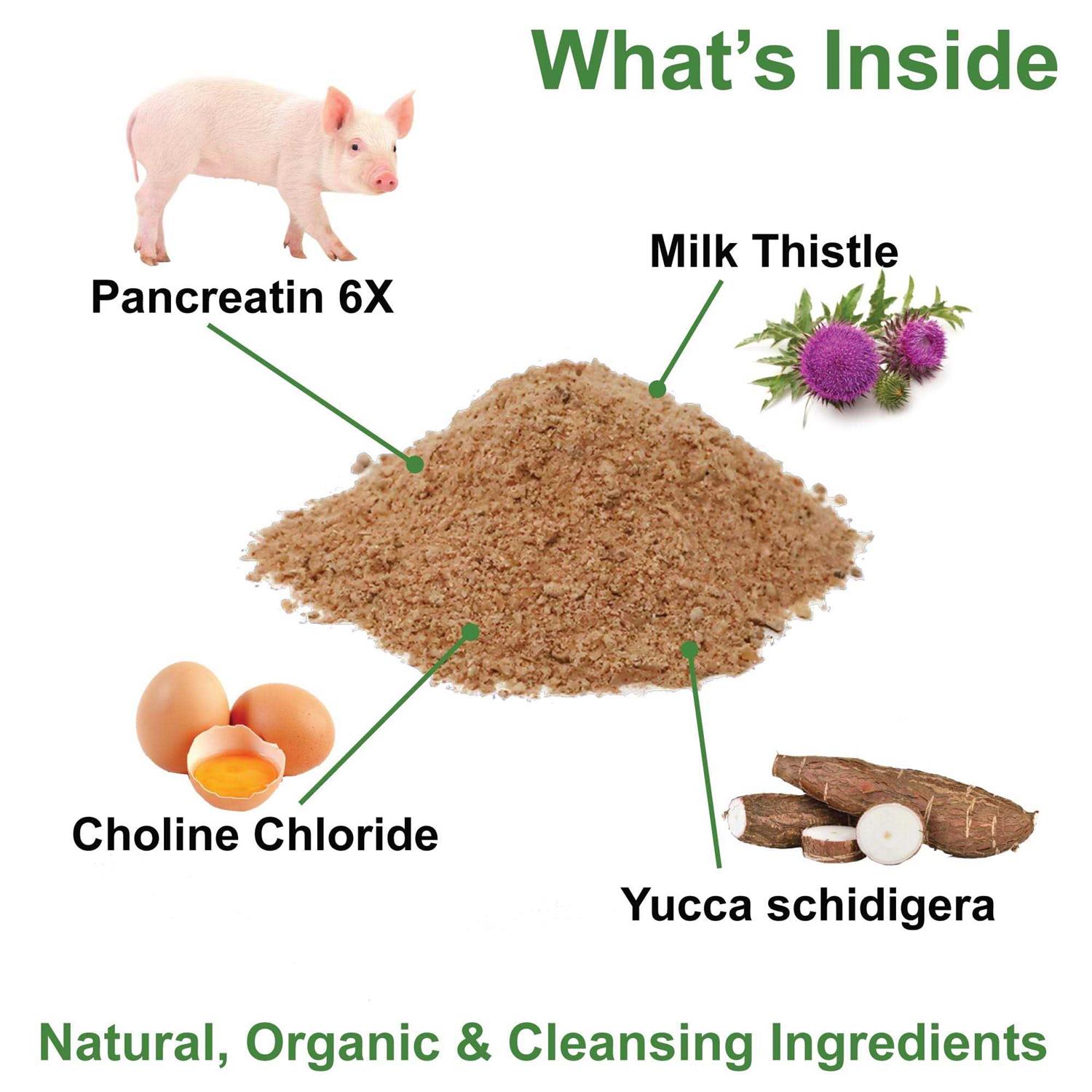 Dogzymes Pancreas Support - Nail Gallerys