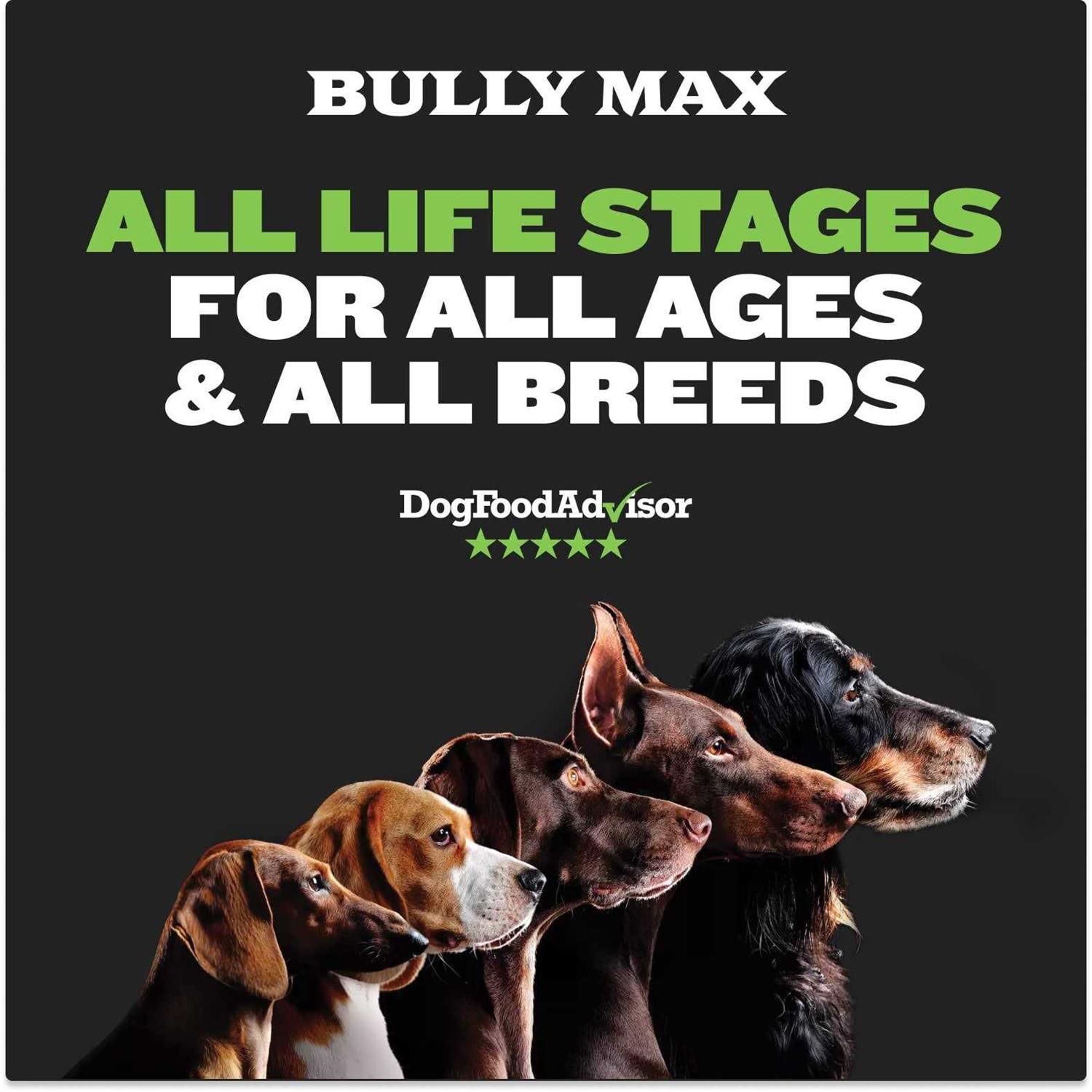 Bully Max 25/11 High Protein & Low Fat Dog Food Chicken-Free Lamb Flavor - Nail Gallerys