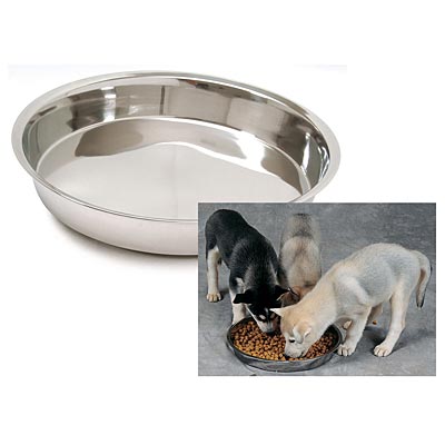 Stainless Steel Puppy Pan Food & Water Dish - Nail Gallerys