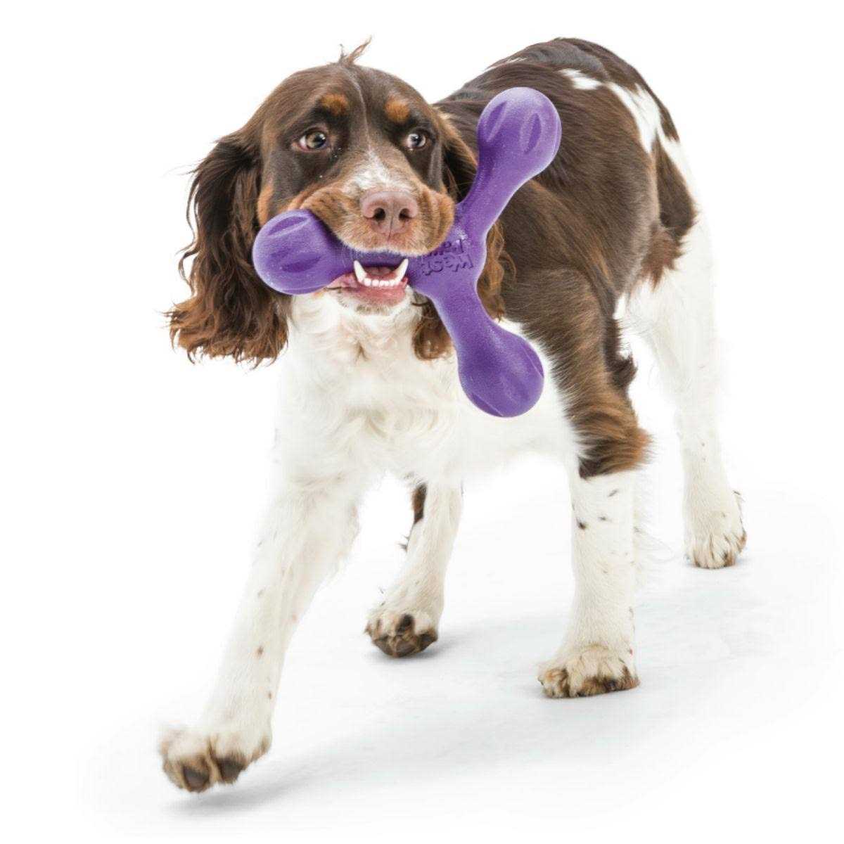 West Paw Skamp Dog Toy - Nail Gallerys