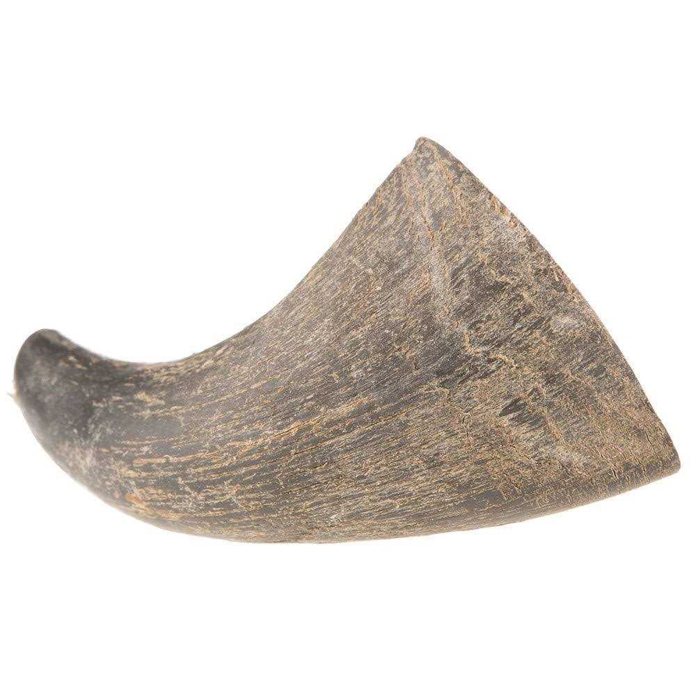 QT Dog Water Buffalo Horn Small - Nail Gallerys