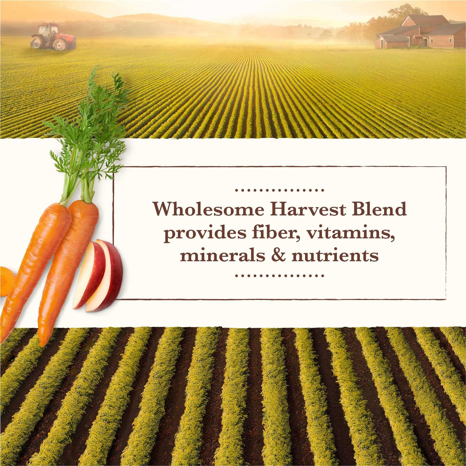 Whole Earth Farms Grain Free Wet Dog Food Chicken Turkey - Nail Gallerys