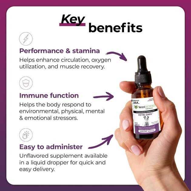 Vetri-DMG Liquid - Nail Gallerys