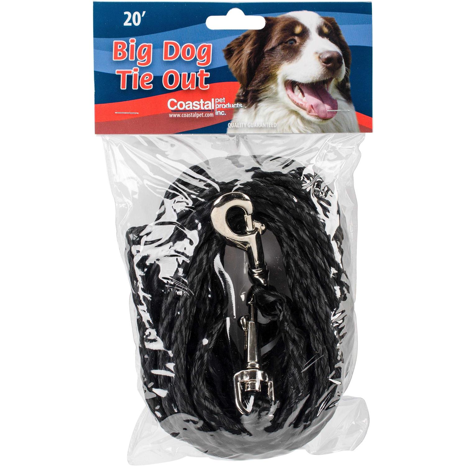Coastal Poly Dog Tie Out - Nail Gallerys