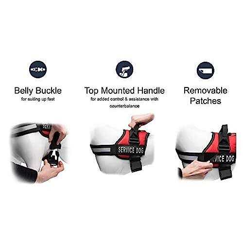 Industrial Puppy Service Dog Vest with Hook and Loop Straps and Detachable Backpacks Harnesses in 7 Sizes from XXS to XXL - Nail Gallerys