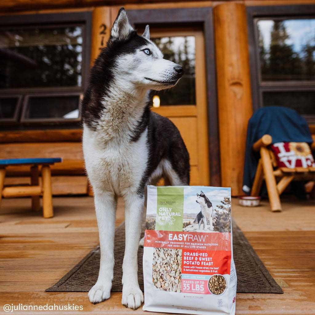 EasyRaw Grass-Fed Beef with Sweet Potato Feast Dehydrated Dog Food - Nail Gallerys