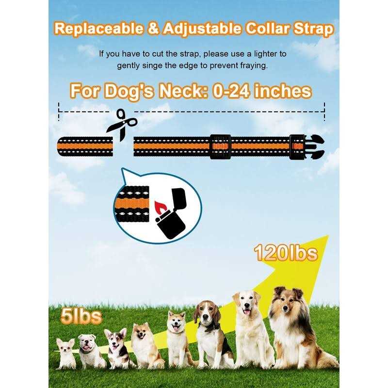 Bousnic Dog Shock Collar 2 Dogs 3300 ft Waterproof Training Collar for Dogs Large Medium Small with Rechargeable Remote - Nail Gallerys