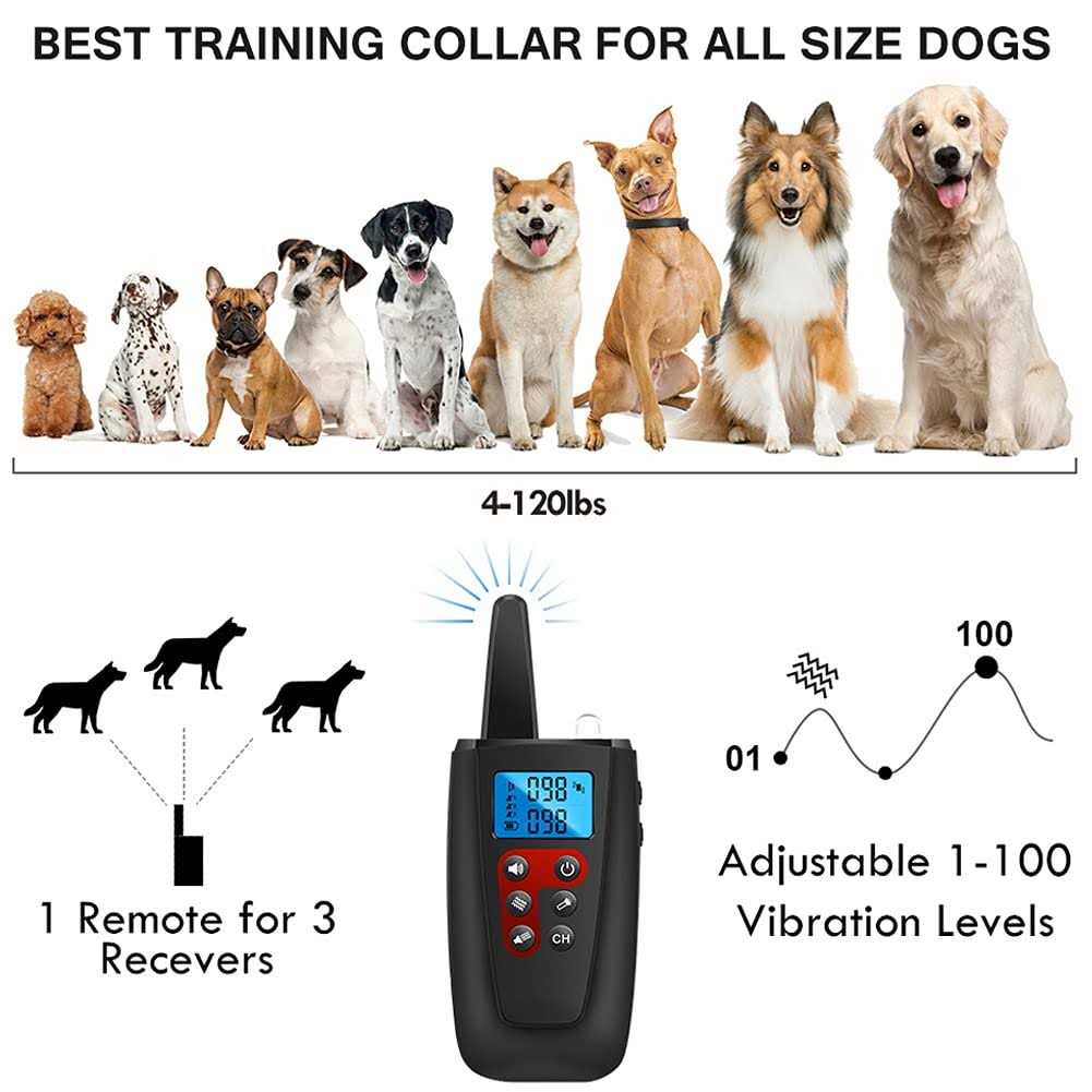 Paipaitek No Shock Dog Training Collar with Remote Vibration Collar Dogs Dogs - Nail Gallerys