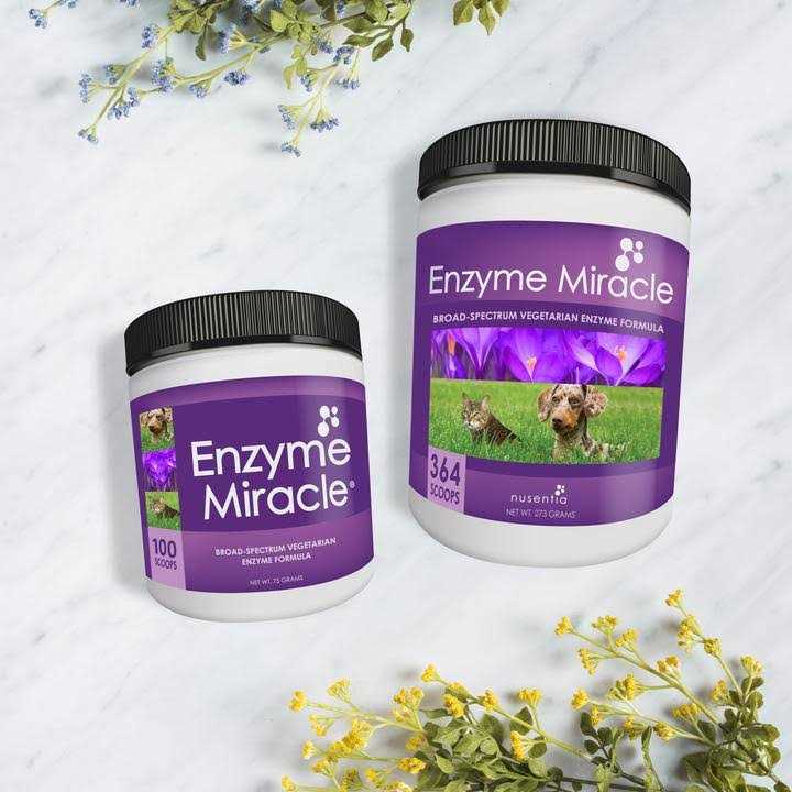 Enzyme Miracle Digestive - Nail Gallerys