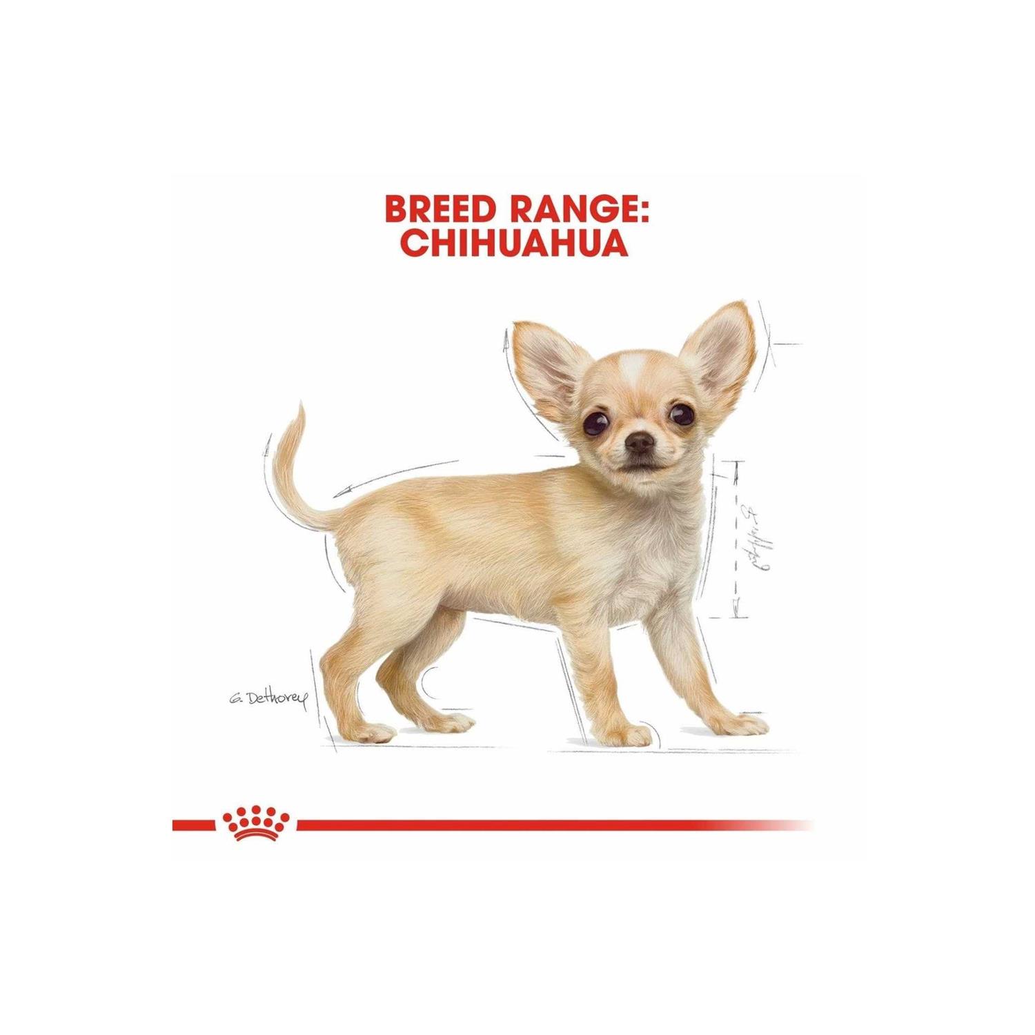 Royal Canin Breed Health Nutrition Chihuahua Puppy Dry Dog Food - Nail Gallerys