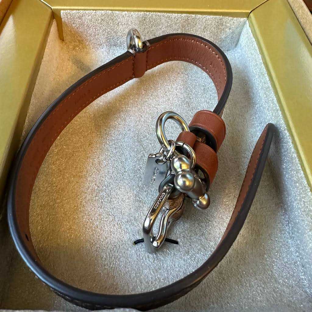 Coach Outlet Boxed Pet Collar In Signature Canvas - Nail Gallerys