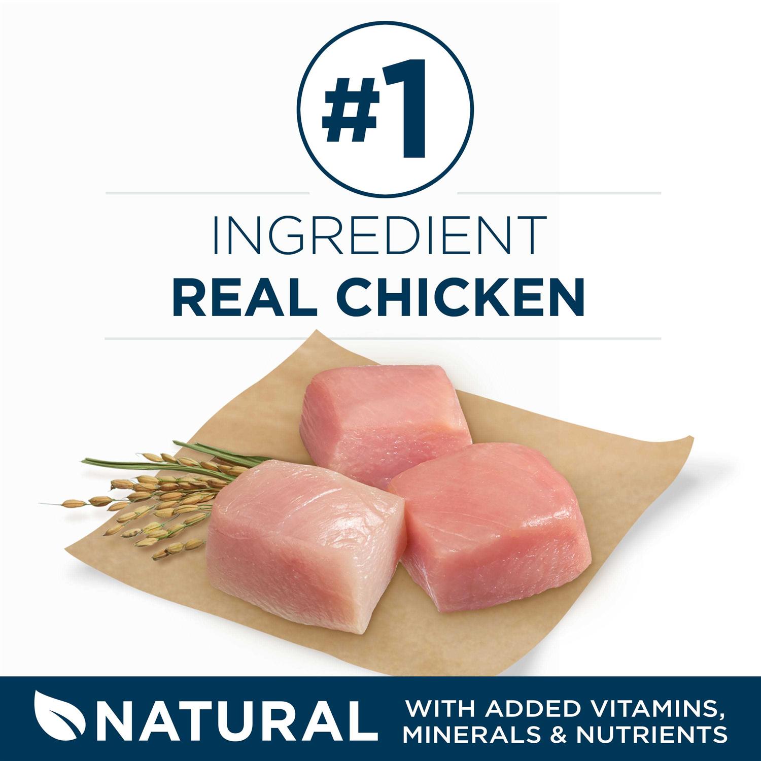 Purina ONE SmartBlend Large Breed Adult Dry Dog Food - Nail Gallerys