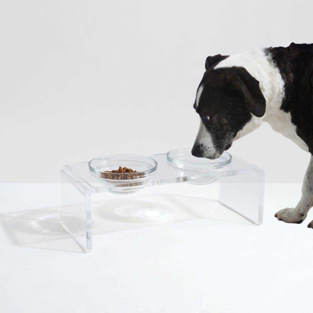 Glass Bowl Clear Elevated Feeder Hiddin - Nail Gallerys