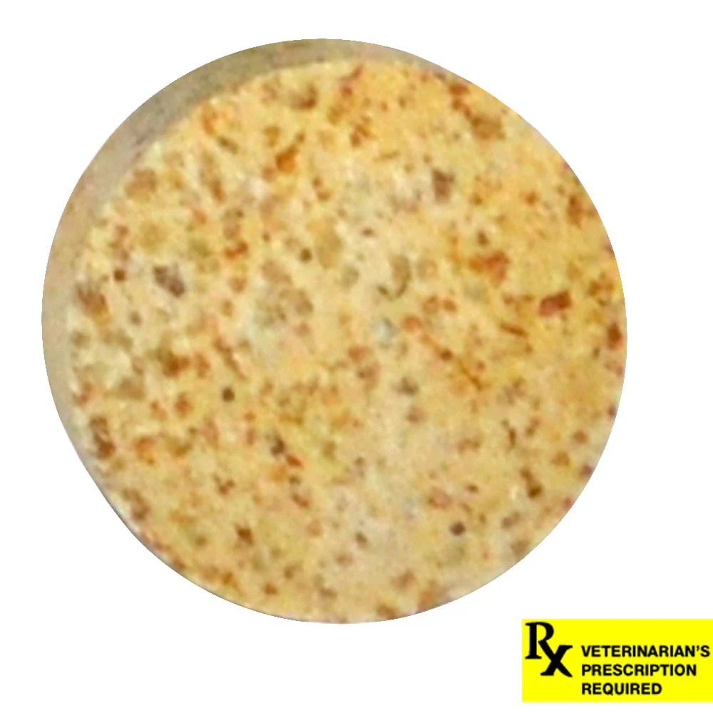 Rx PanaKare Plus Tablets for Dogs & Cats - Nail Gallerys