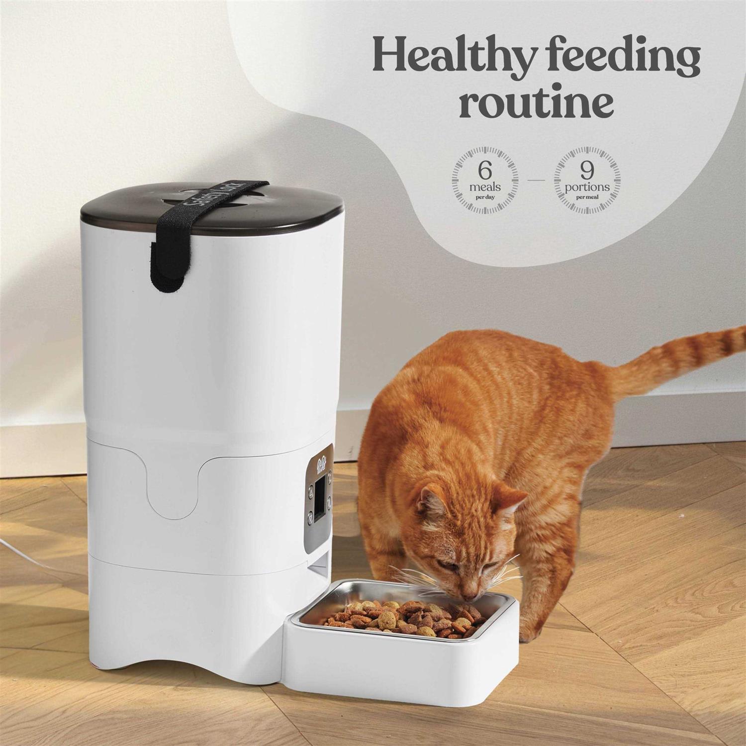 Pitpet Smart Automatic Cat Feeder 6-L Reliable Automatic Cat Food Dispenser with Display LCD Screen for Easy Set Up -Portion Control Automatic Dog - Nail Gallerys
