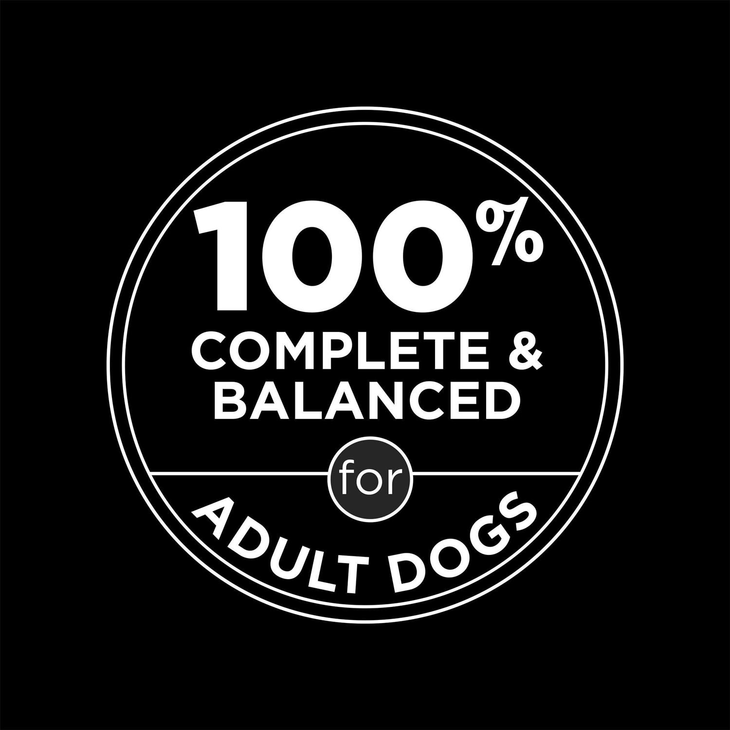 Moist & Meaty High Protein Chicken & Beef Flavor Dry Dog Food - Nail Gallerys