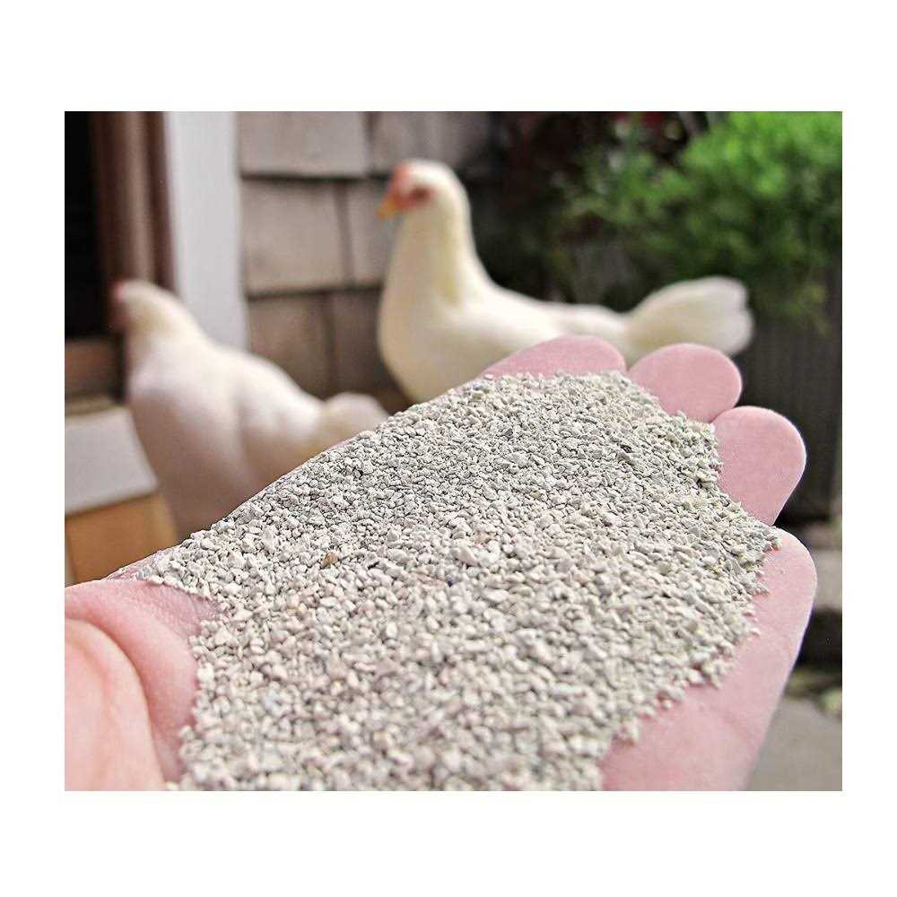 Standlee Sweet Coop - Nail Gallerys