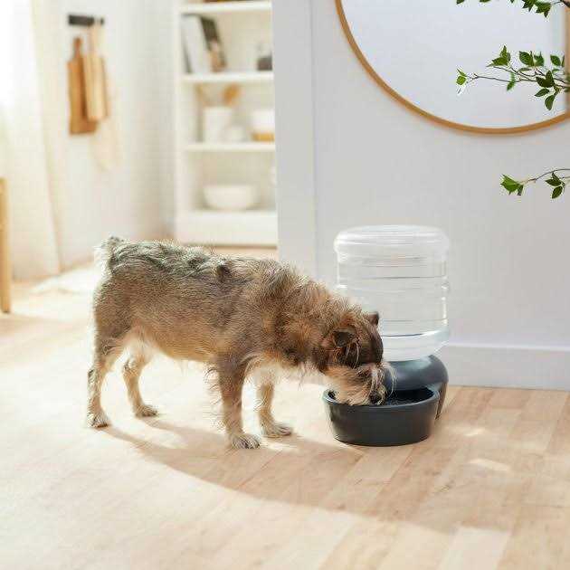 Frisco Wide Mouth Gravity Waterer - Nail Gallerys
