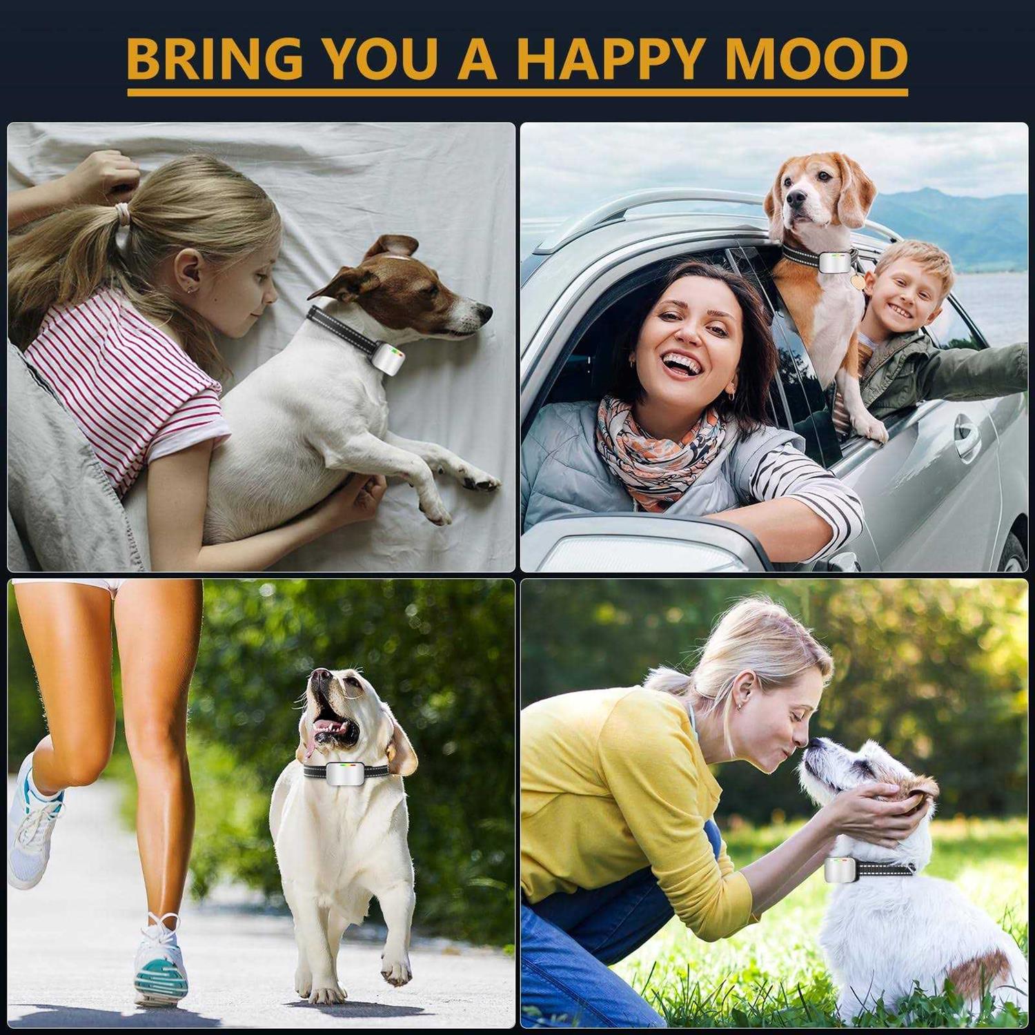 Bark Collar 2 Pack Rechargeable Dog Bark Collar for Large Medium Small Dogs Training Collar for Dogs with 4 Adjustable Sensitivity Dog Barking - Nail Gallerys