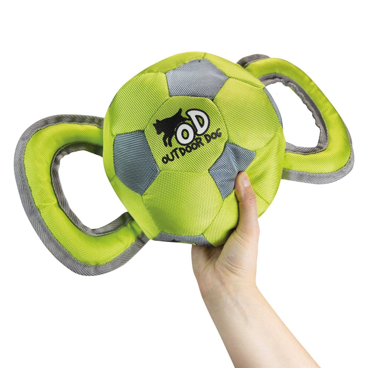 All for Paws Ballistic Handle Ball - Nail Gallerys
