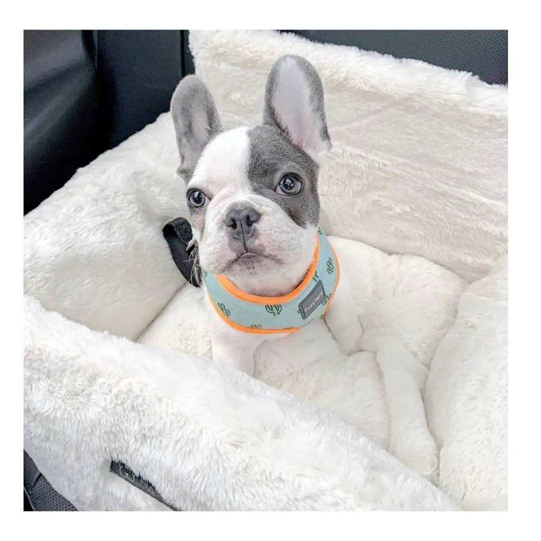 Nandog Pet Gear Ivory Cloud Collection Dog Car Seat Bed - Nail Gallerys