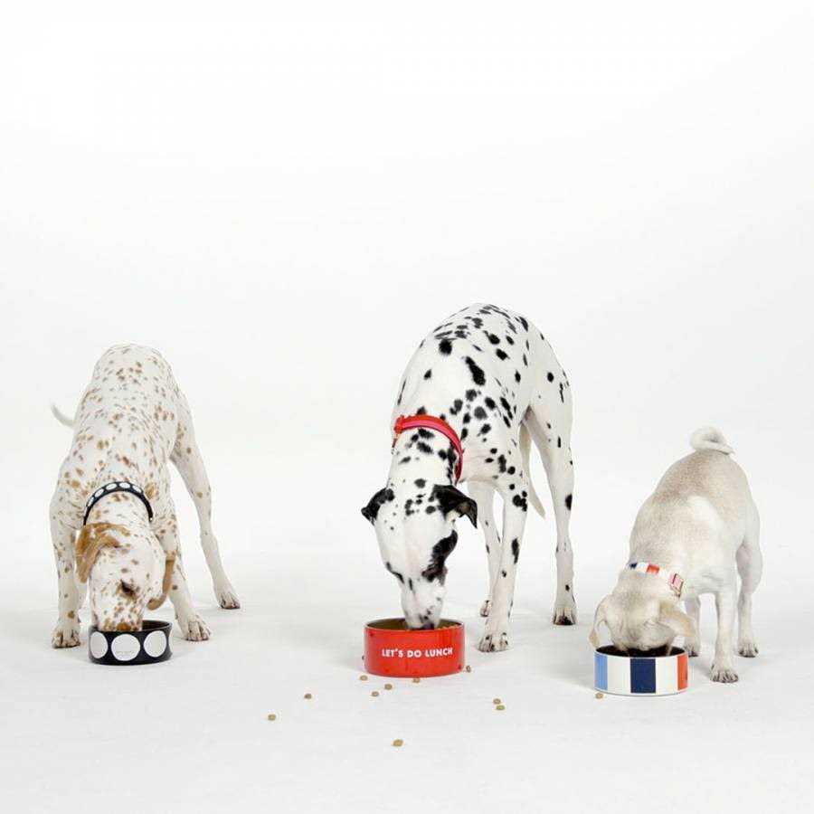 Kate Spade Art Dot Dog Collar - Nail Gallerys