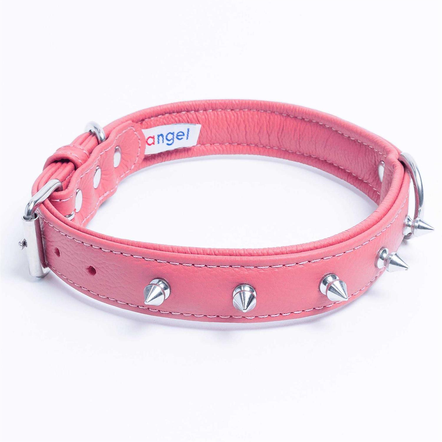 Rotterdam Dog Collar Spiked - Nail Gallerys
