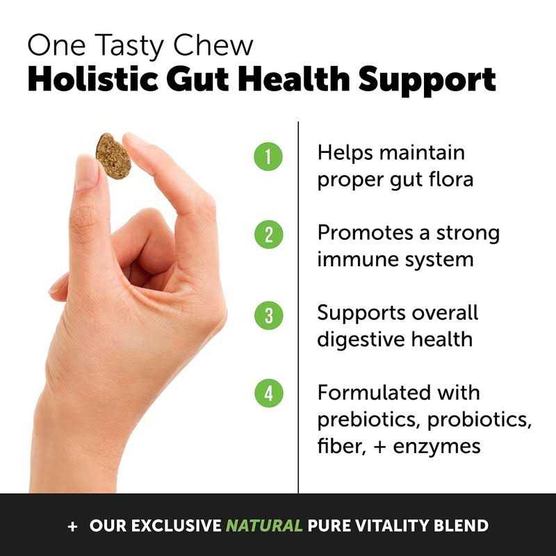 Pet Honesty Probiotics for Dogs Digestive Enzymes Promotes Gut Health - Nail Gallerys