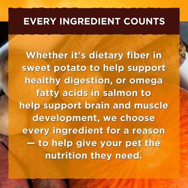 Nature’s Recipe Wet Dog Food - Nail Gallerys