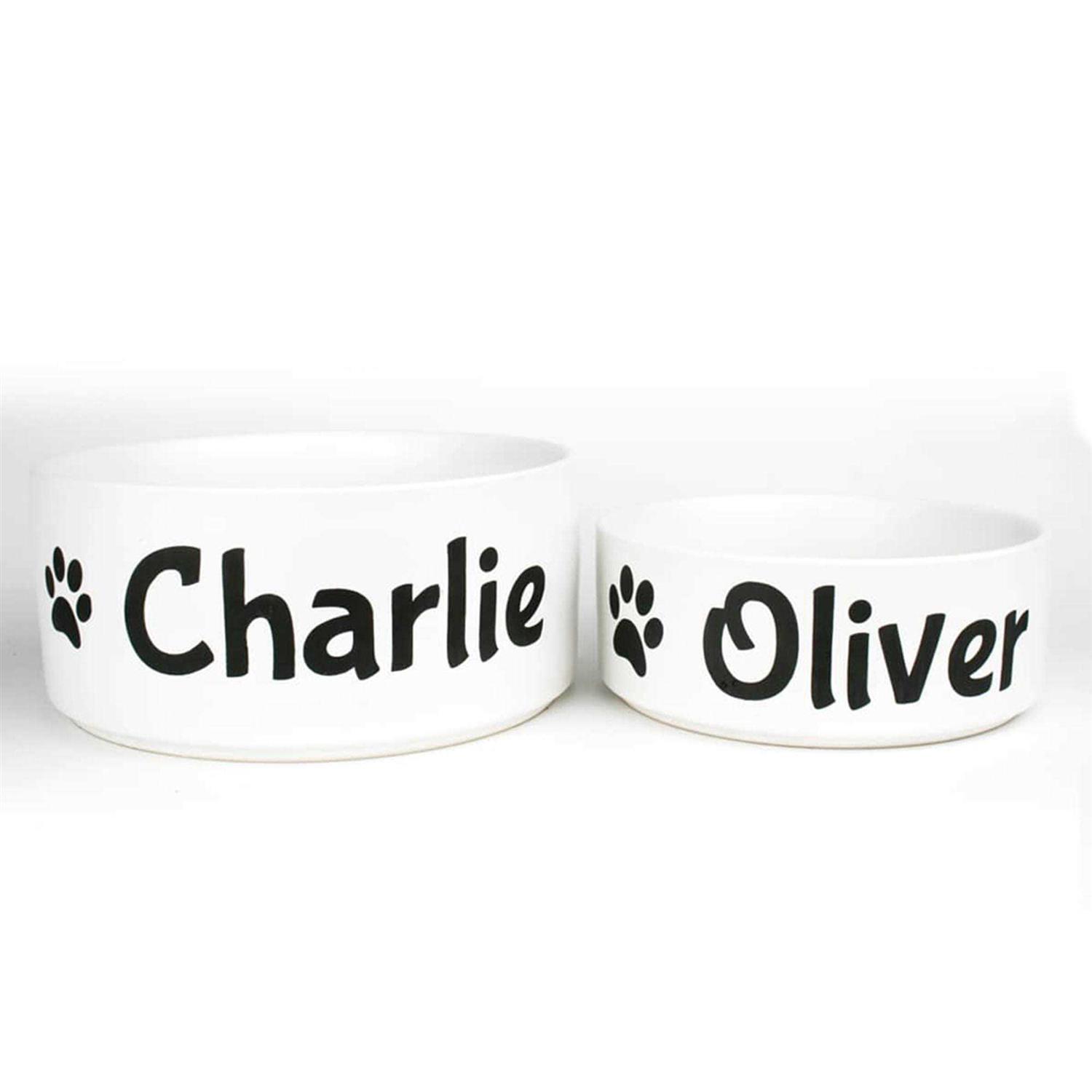 GoTags Personalized Dog Bowl - Nail Gallerys