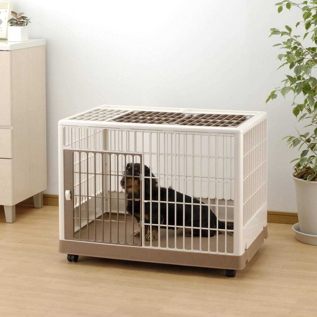Richell Pet Training Kennel - Nail Gallerys