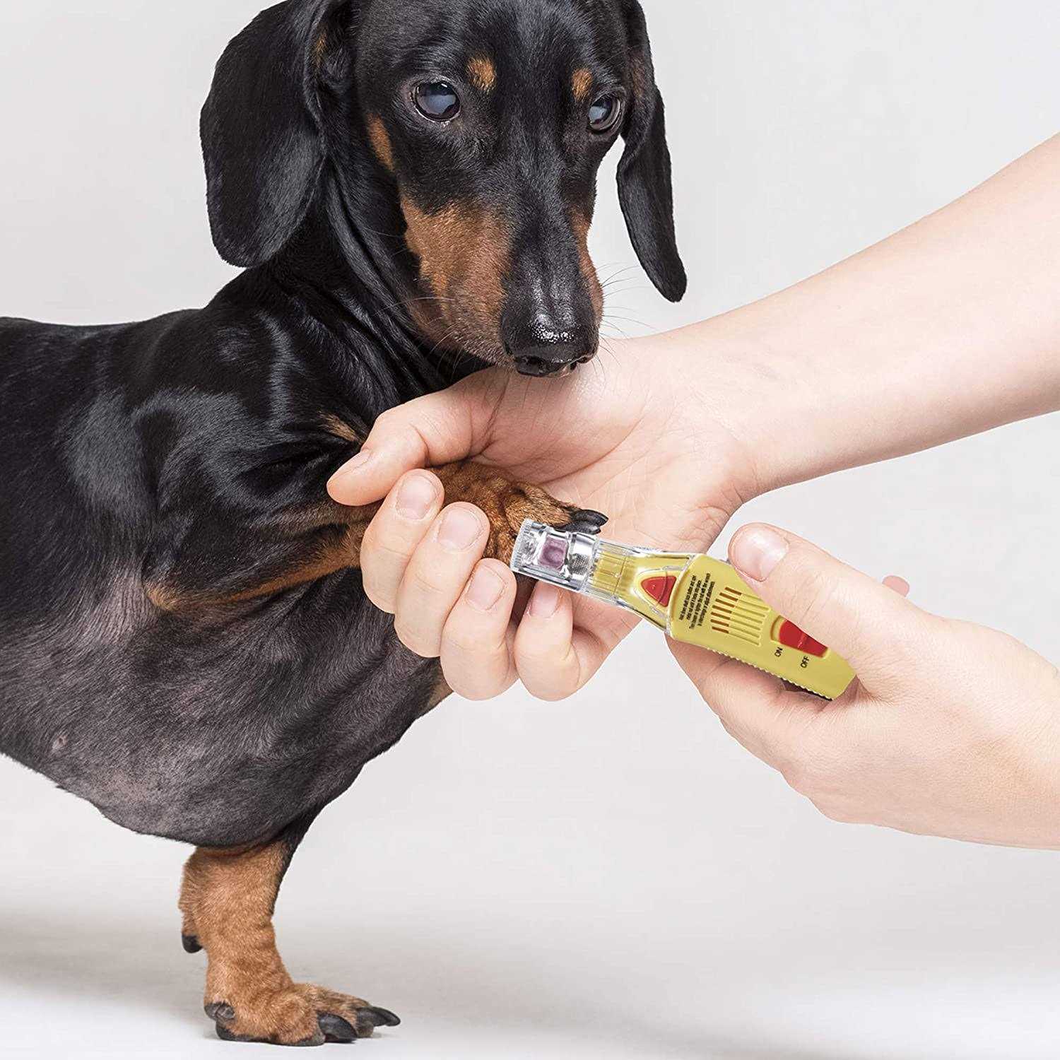 ConairPRO Dog Professional Nail Grinder - Nail Gallerys