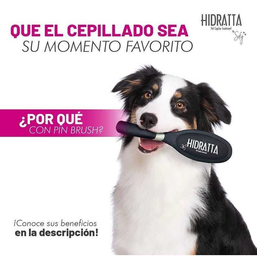 Hairbrush for pets - Nail Gallerys